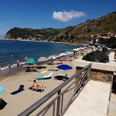 Rosa Agnone Cilento
